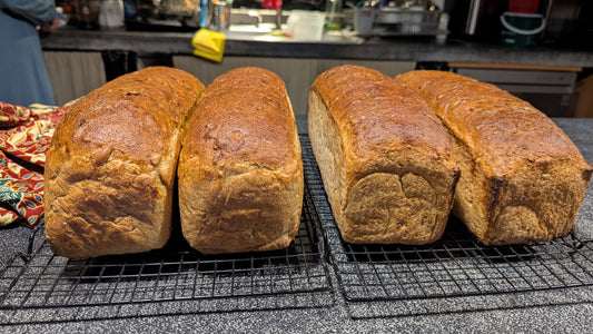 Pan de Caja Con Semillas