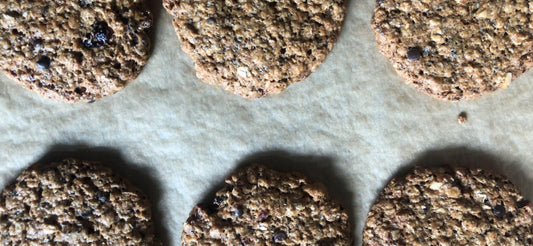 Galletas de Avena Paquete de 3